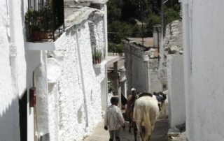 Spanien - Sierra Nevada