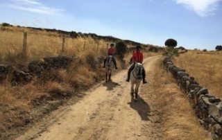 Spanien - Sierra de Gredos