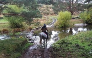Spanien - Sierra de Gredos