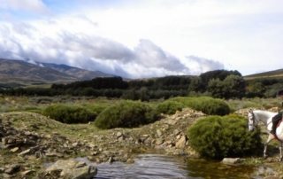 Spanien - Sierra de Gredos