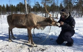 Sverige - Laplands Oplevelser