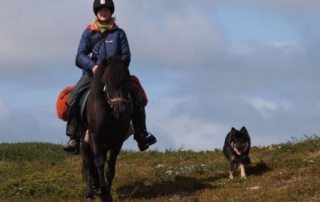 Sverige - Laplands Oplevelser