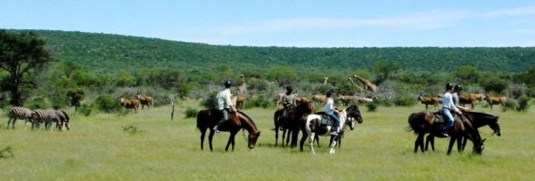 Sydafrika - Ant´s Lodges teaser