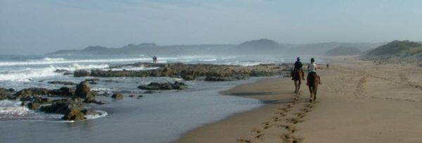 Sydafrika - Wild Coast teaser
