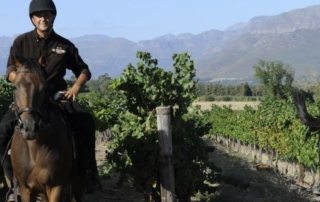 Sydafrika – Cape Winelands teaser