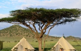 Tanzania - Kaskazi
