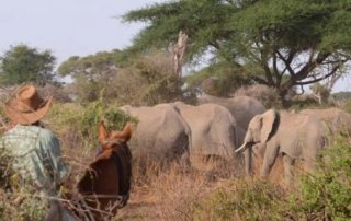 Tanzania - Kaskazi