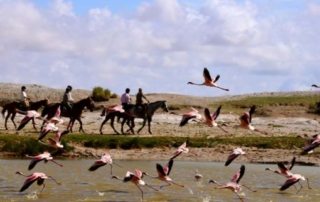 Tanzania - Kaskazi