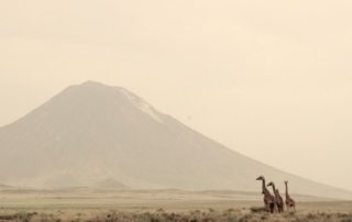Tanzania - Kaskazi