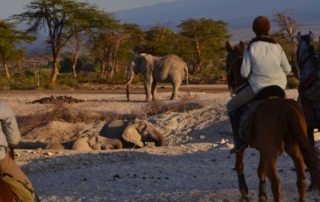 Tanzania - Kaskazi