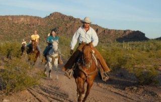 USA Arizona – White Stallion