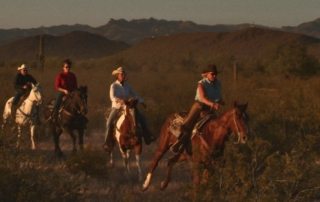 USA Arizona – White Stallion