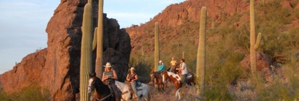 USA Arizona – White Stallion teaser