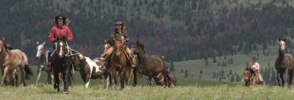 USA, Montana - Rocking Z teaser