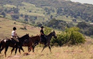 Uganda – Nilen Ridesafari