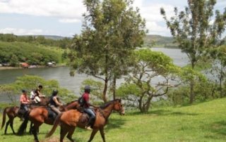 Uganda – Nilen Ridesafari