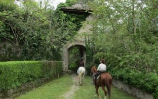 Italien – Chianti Slotte & Vinsmagning