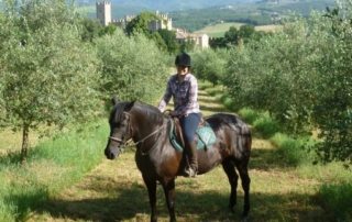 Italien – Chianti Slotte & Vinsmagning