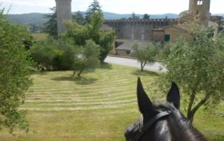 Italien – Chianti Slotte & Vinsmagning