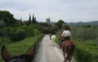 Italien – Chianti Slotte & Vinsmagning