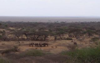 Kenya - Ol Donyo Lodge