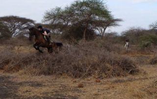 Kenya - Ol Donyo Lodge