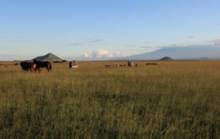 Kenya - Ol Donyo Lodge