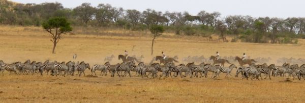 Kenya - Ol Donyo Lodge