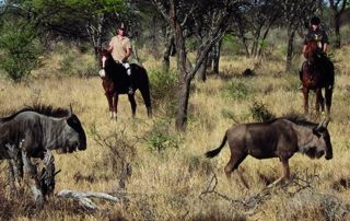 Namibia – Kambaku Lodge