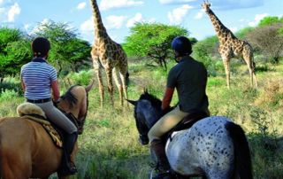 Namibia – Kambaku Lodge
