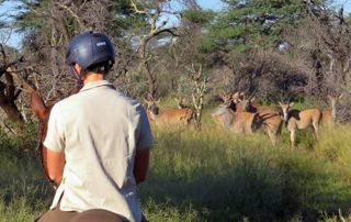 Namibia – Kambaku Lodge