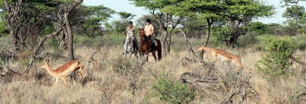 Namibia – Kambaku Lodge