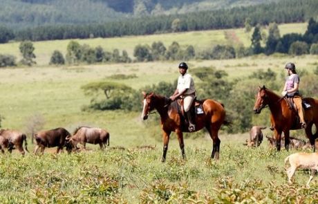 Swaziland - Mlilwane Explorer Teaser