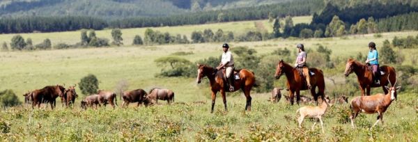 Swaziland - Mlilwane Explorer Teaser
