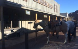 SA Arizona - Tombstone Ranch