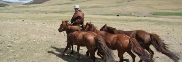 Mongoliet – Mongoliet Ekspres
