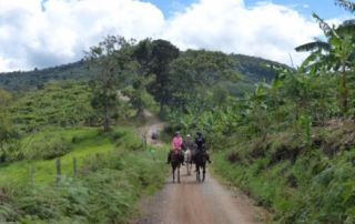 Colombia - Barichara Ridt