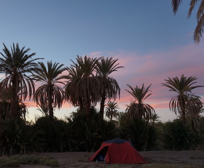 Palm ørken dating service