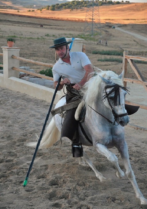 Andalusien Rideferie