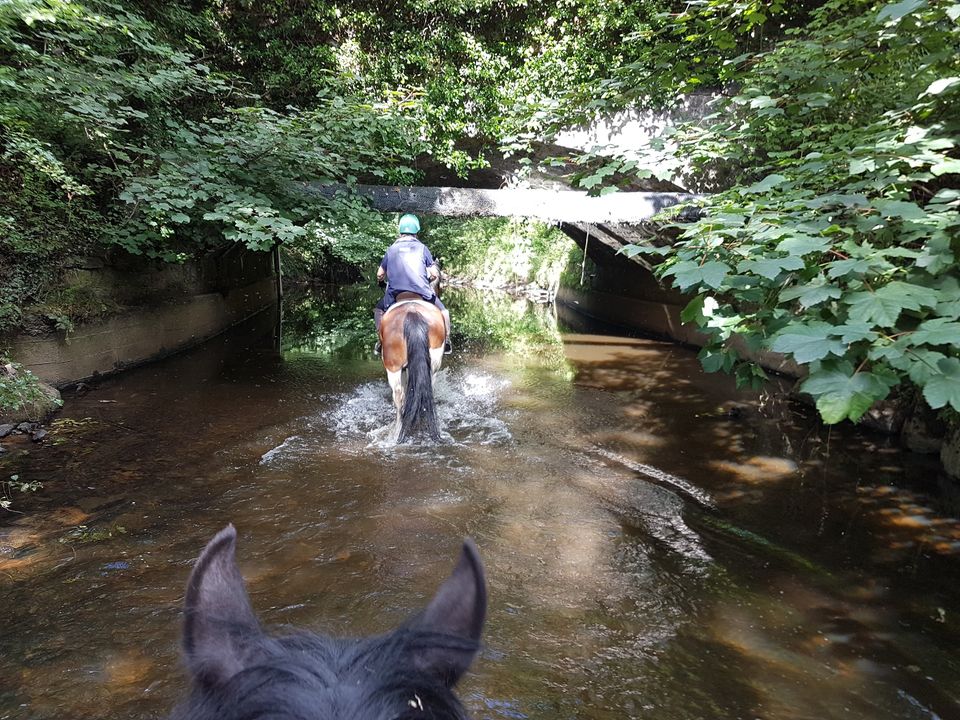 Rideferie Irland