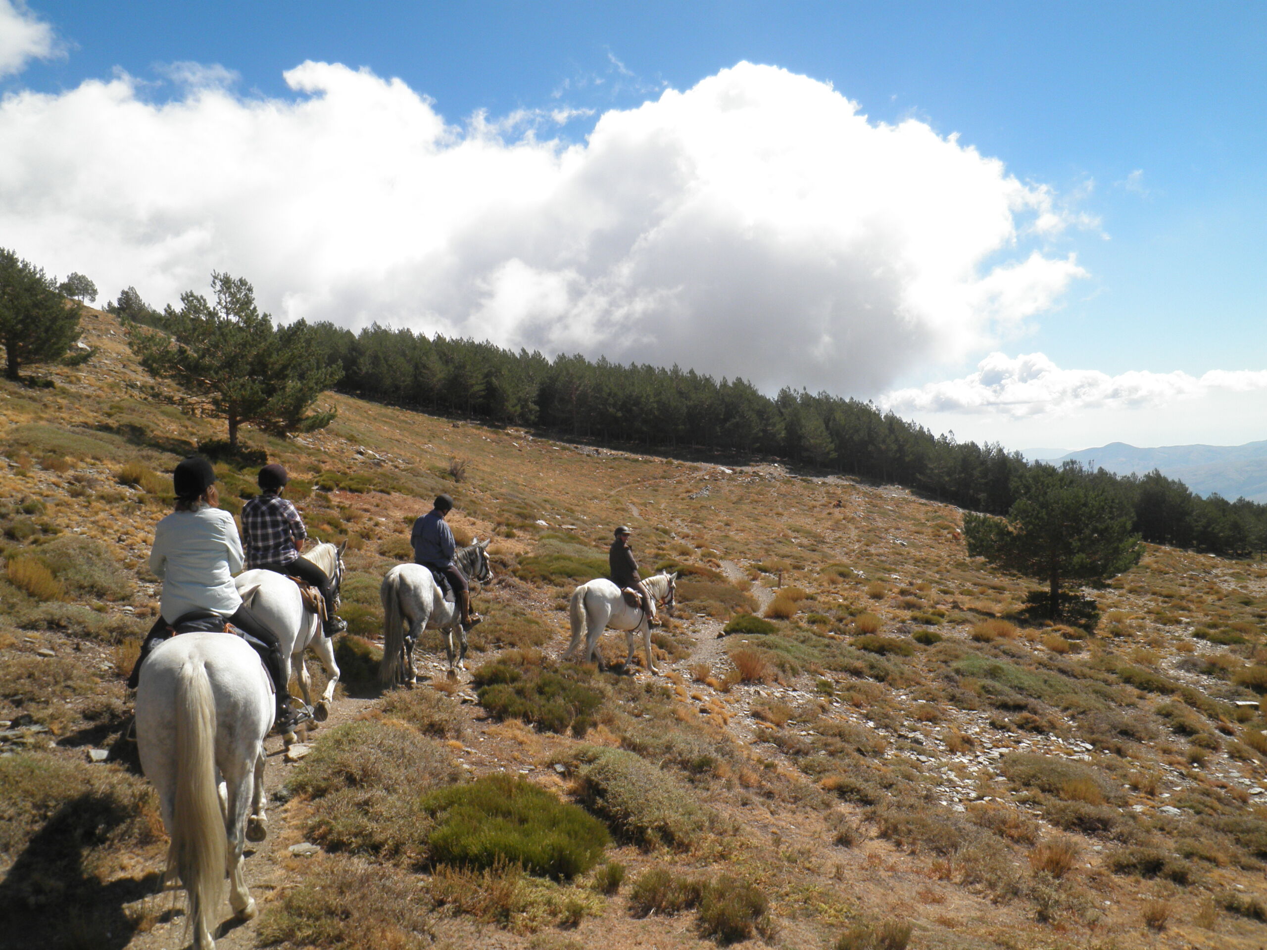 Andalusien Rideferie