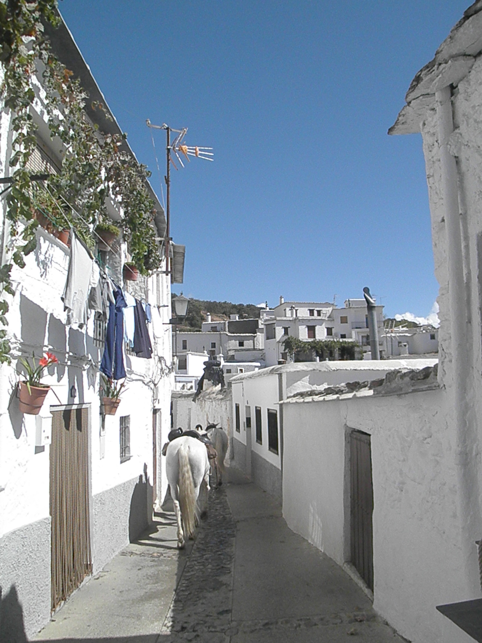 Andalusien Rideferie