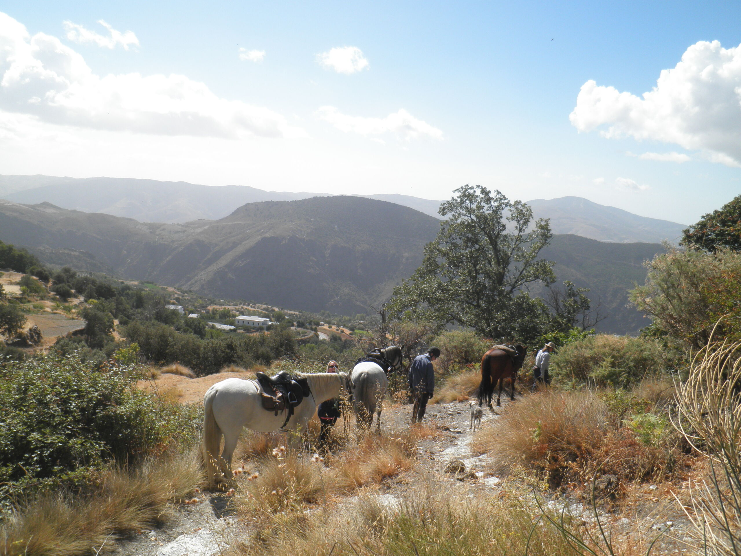 Andalusien Rideferie