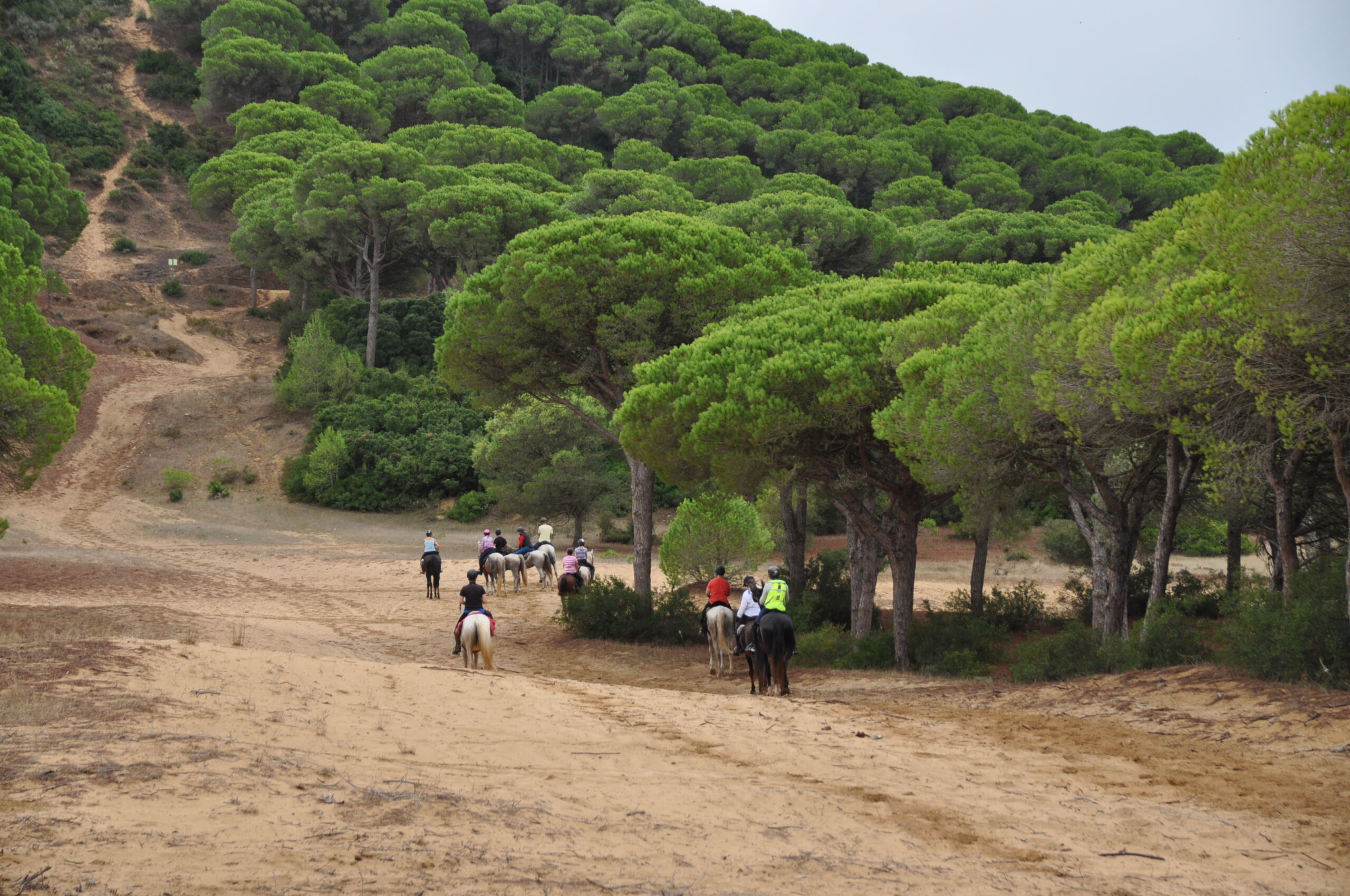 Andalusien Rideferie