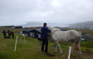 Færøerne – Grønne fjelde, klipper og hav