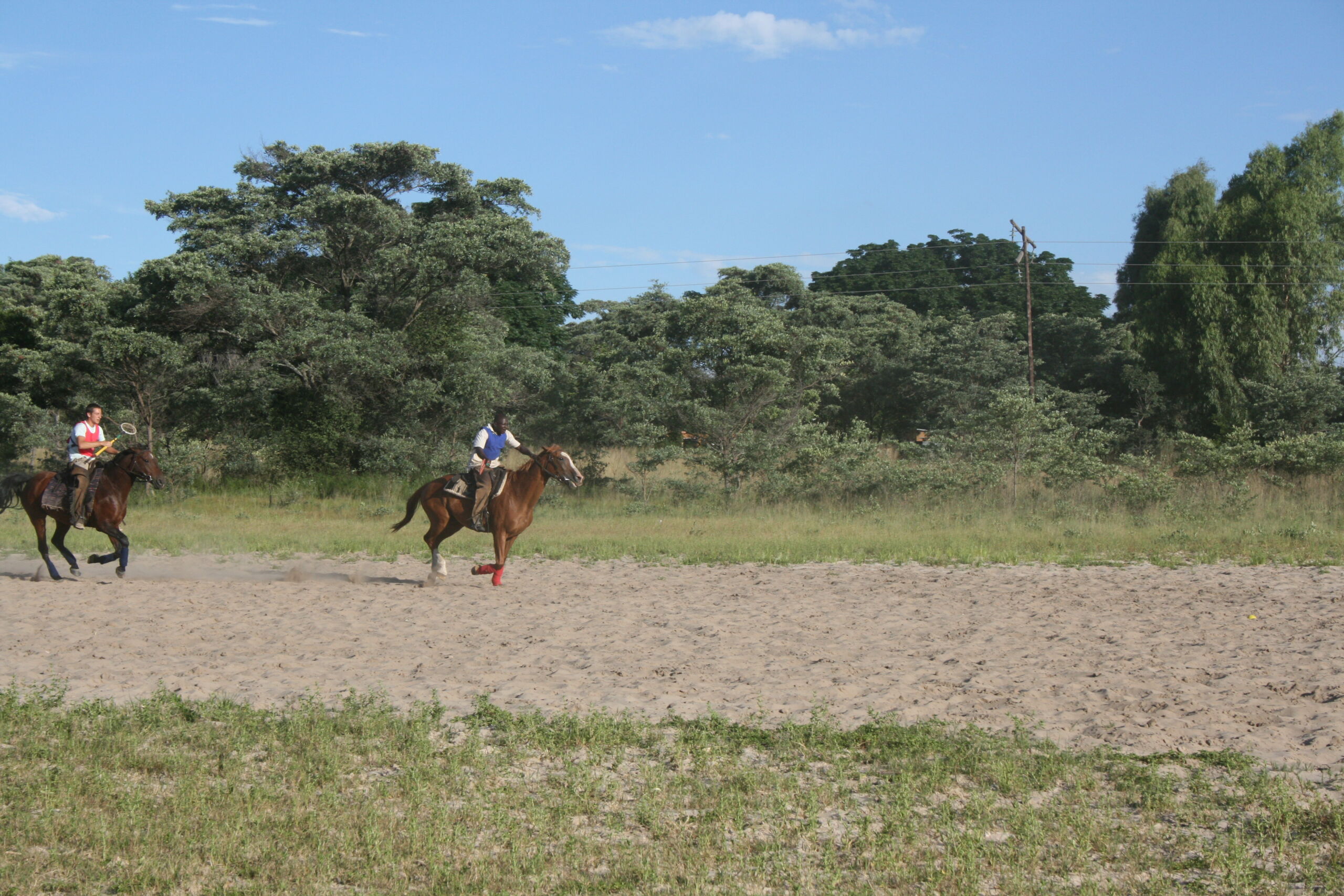 Polo Cross Sydafrika