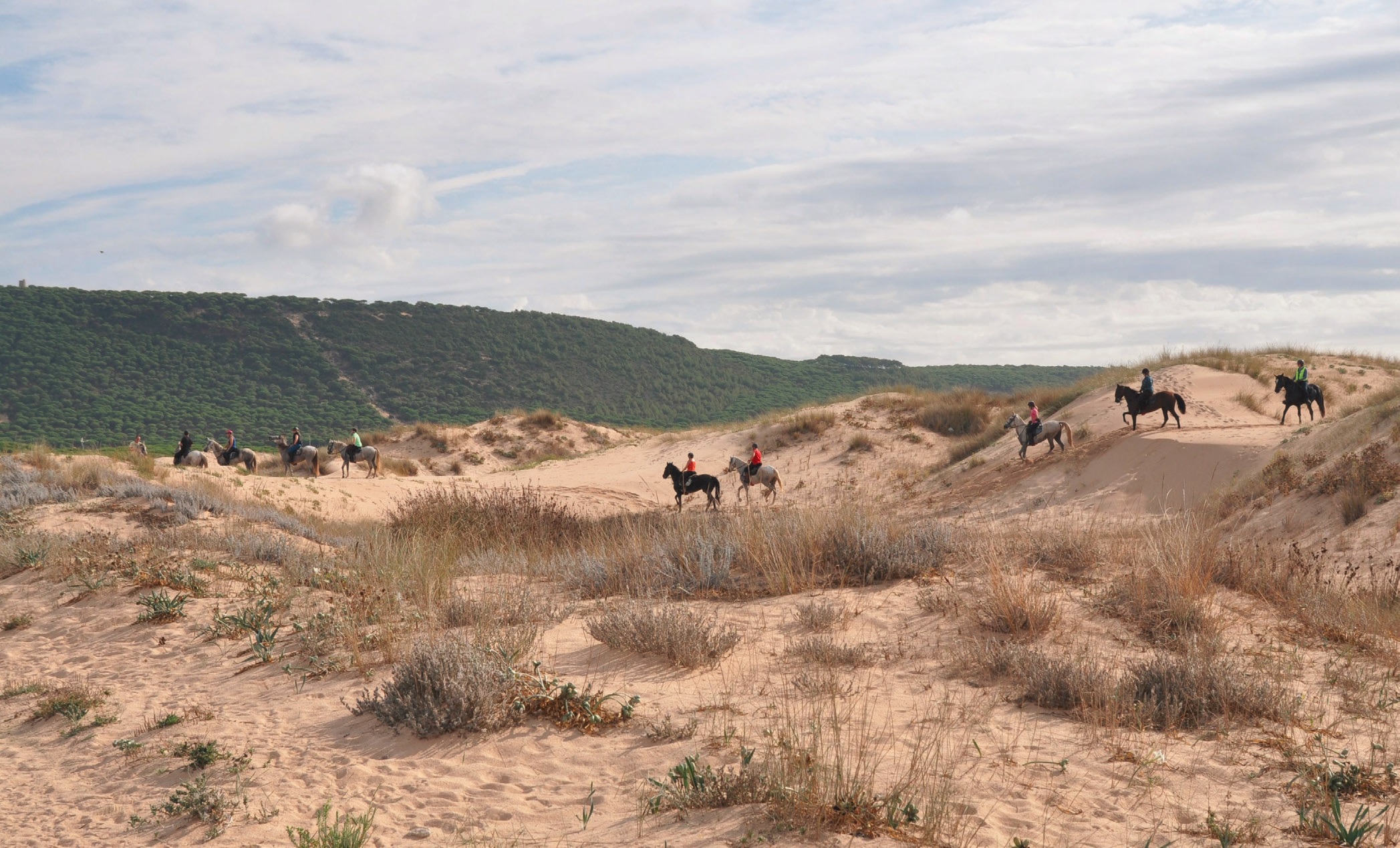 Andalusien Rideferie