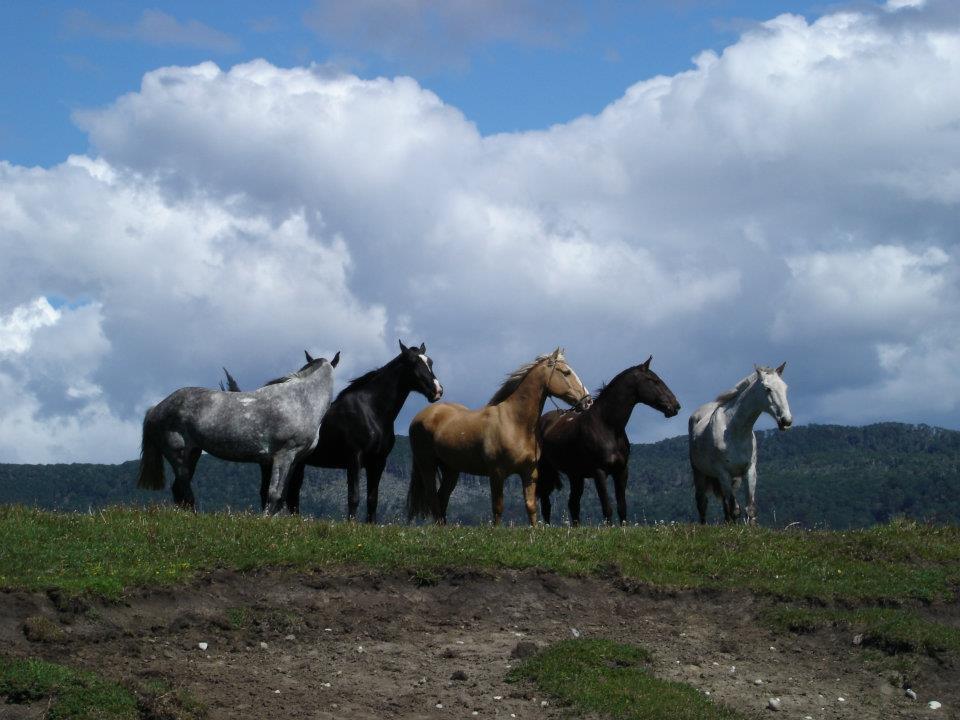 Rideferie Argentina