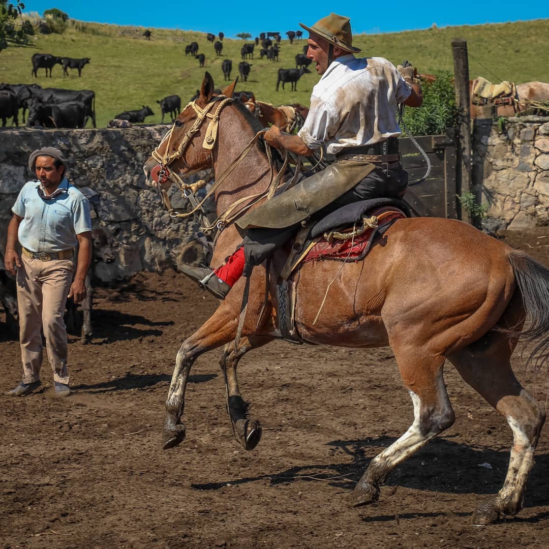 Rideferie Argentina