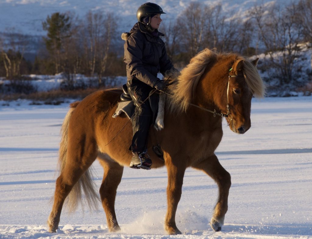 Rideferie Sverige